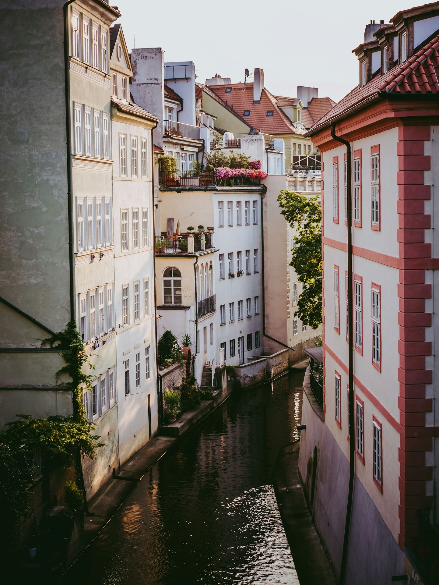 buildings with water stream