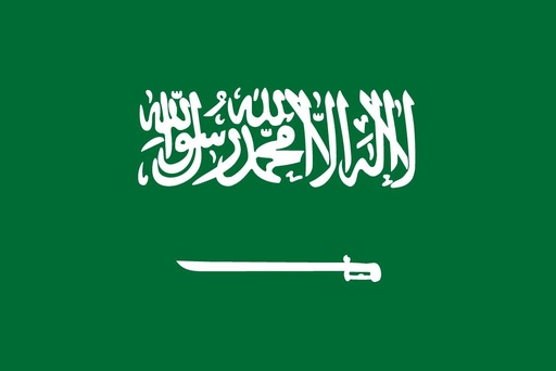 Saudi Employment